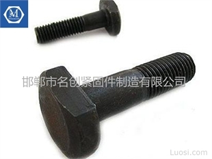 T型螺栓廠家直銷優(yōu)勢解析 聚焦邯鄲市名創(chuàng)緊固件制造