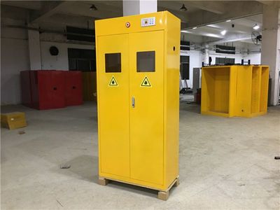 【雙瓶防爆氣瓶柜 鋼制柜儲(chǔ)存 安全防爆防火柜 易燃物氣體儲(chǔ)存安全柜圖片】雙瓶防爆氣瓶柜 鋼制柜儲(chǔ)存 安全防爆防火柜 易燃物氣體儲(chǔ)存安全柜圖片大全 - 優(yōu)耐特斯工業(yè)設(shè)備